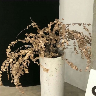 Furry绘画原创思路Furry群